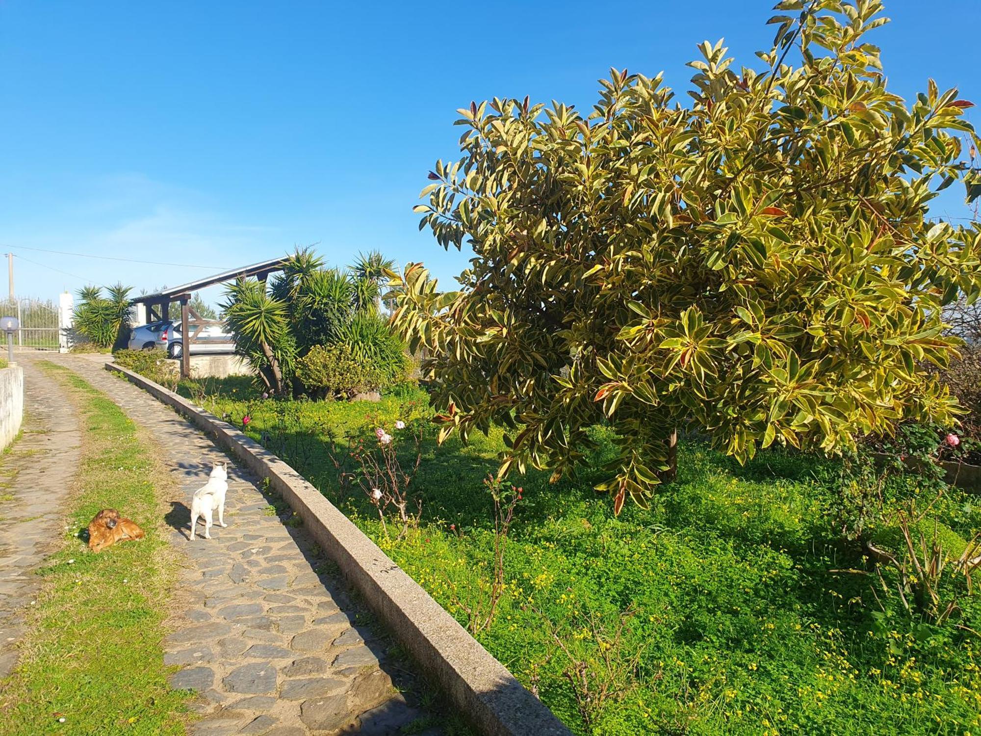 Villa Asinara Sassari Exterior foto